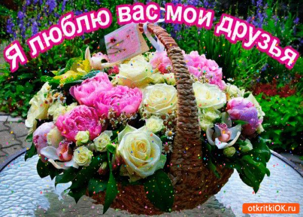 IMG 20161122 081046 40