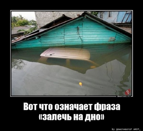 Вот что значит залечь на дно