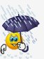 file_58033724