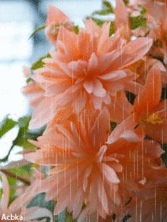 file_58548279
