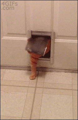Котег