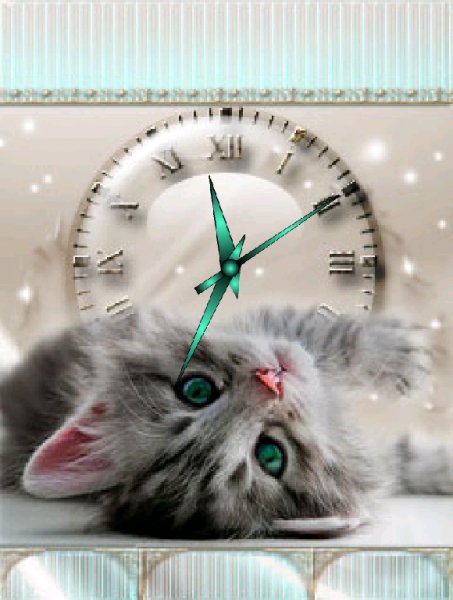 Кошачьи глазки )