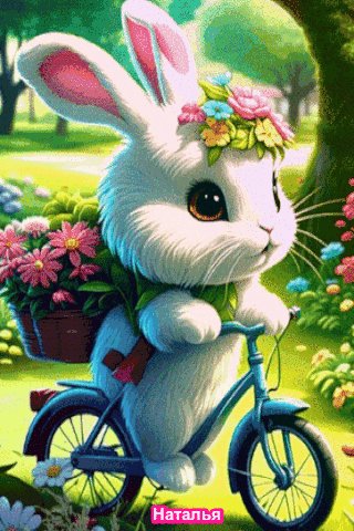 file_97572590