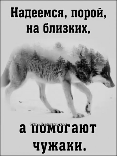 IMG 20251019 063436