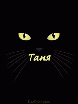 мяу Таня