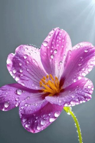file_97666138