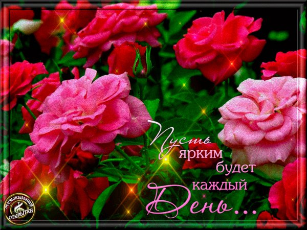 Пусть ярким будет каждый день!