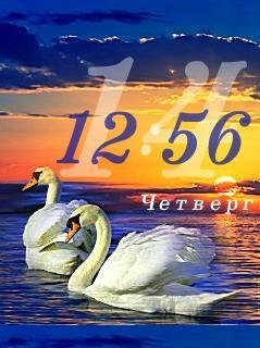 Пара лебедей Флэш 2.0
