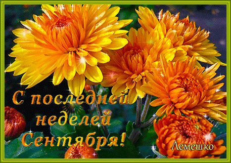 Анимированная открытка с последней неделей