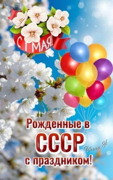 IMG 20260502 235509