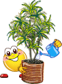 file_88315264