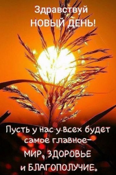 Доброе утро (330)