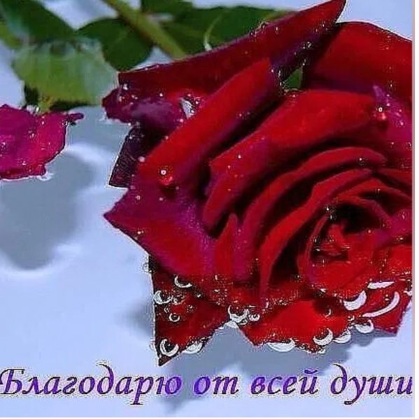 file_99326205