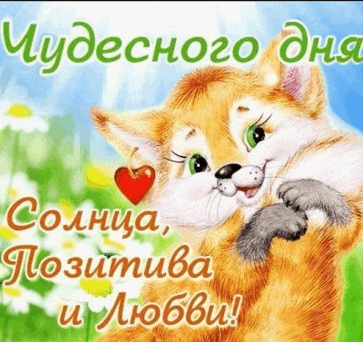 Чудесного дня СПЛ