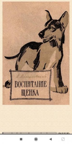 А.Михайловский. Воспитание щенка