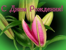 СДР РЛ