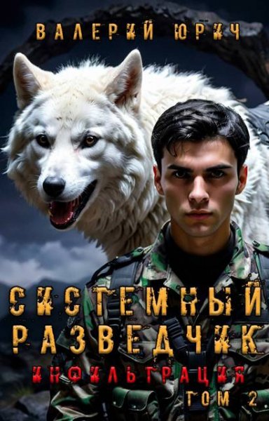 Валерий Юрич Системный разведчик. Инфильтрация. Том 2