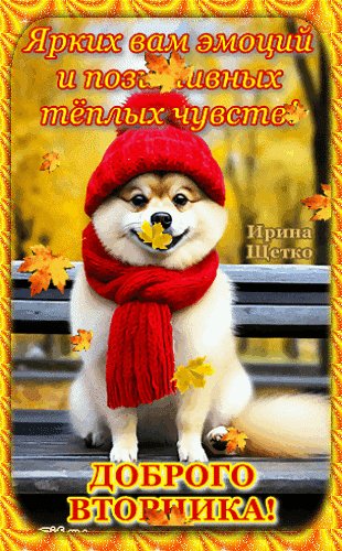Анимированная открытка доброго вторника