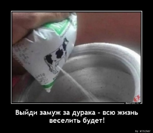 Выйди замуж за дурака, всю жизнь веселить будет
