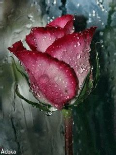 file_58598207