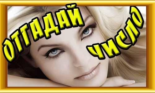 Отгадайчисло