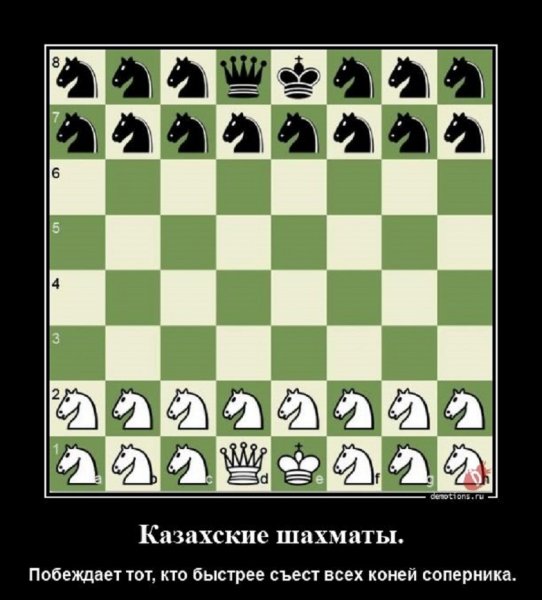 Казахские шахматы