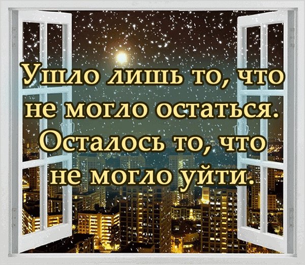 gif 1572976550