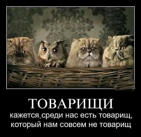 file_98384213