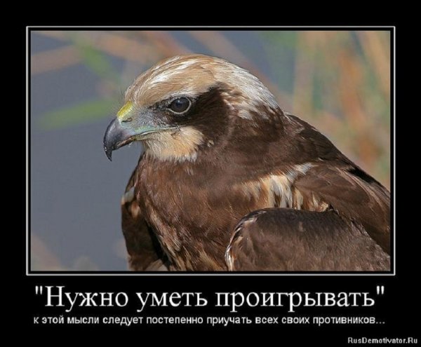 Нужно уметь проигровать и к этой мысли...