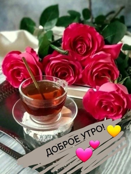 IMG 20250317 150710