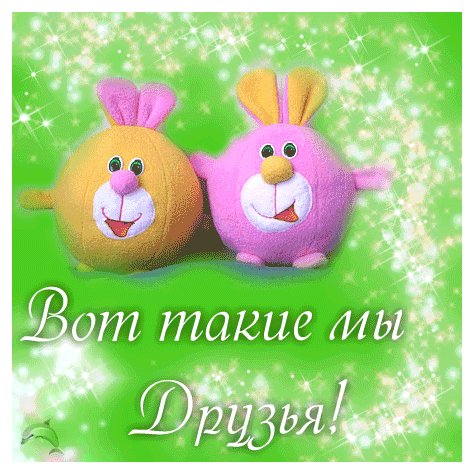 Вот такие мы Друзья