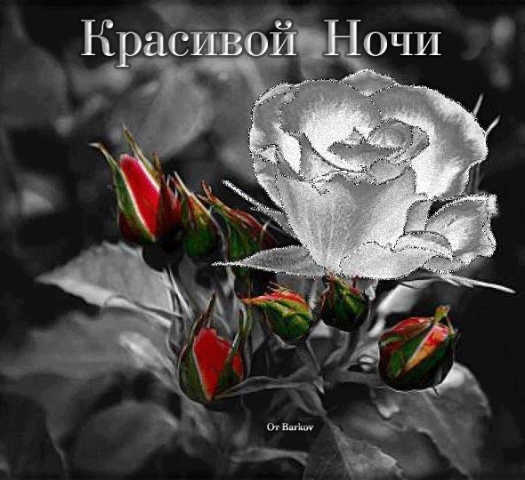 file_53182333