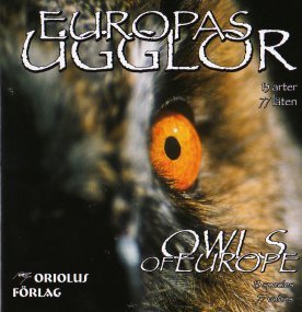 Pavel Pelz - Athene noctua 6 Alarming sound of male near the nest