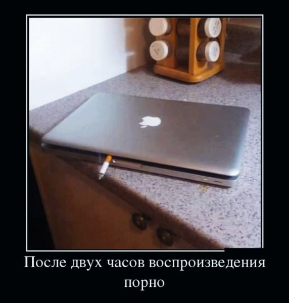 IMG 20241210 200254
