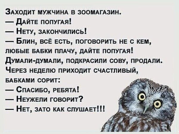 IMG 20260502 050338