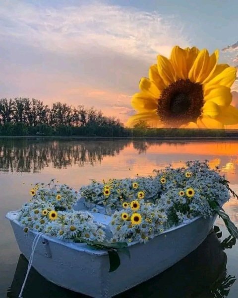 file_95694181