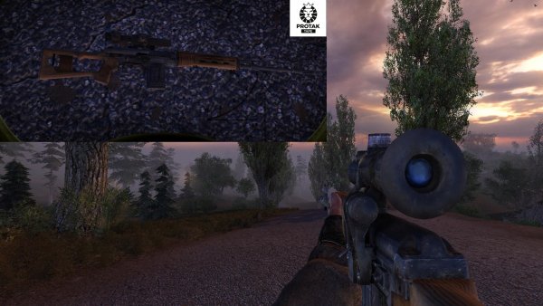 SVD MoH