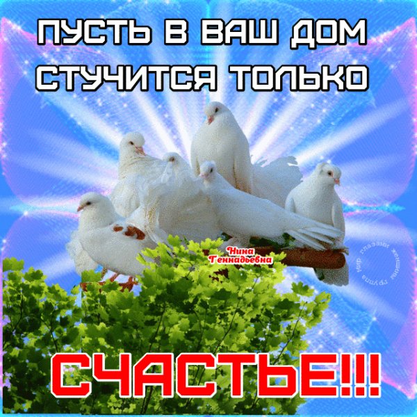 IMG 20210516 192556
