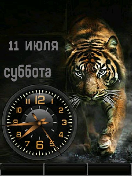 Усатый-полосатый