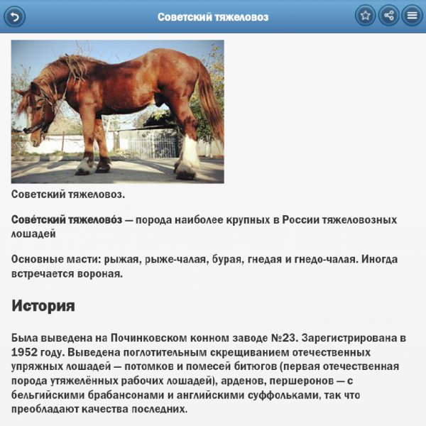Породы лошадей.ver.5.1.0.build.501008