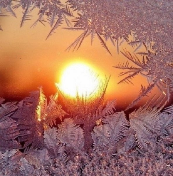 file_75855193