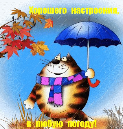 анимированная открытка хорошего настроения