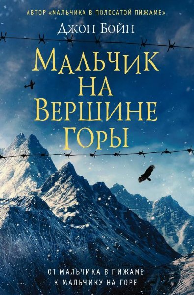 Мальчик на вершине горы. Джон Бойн
