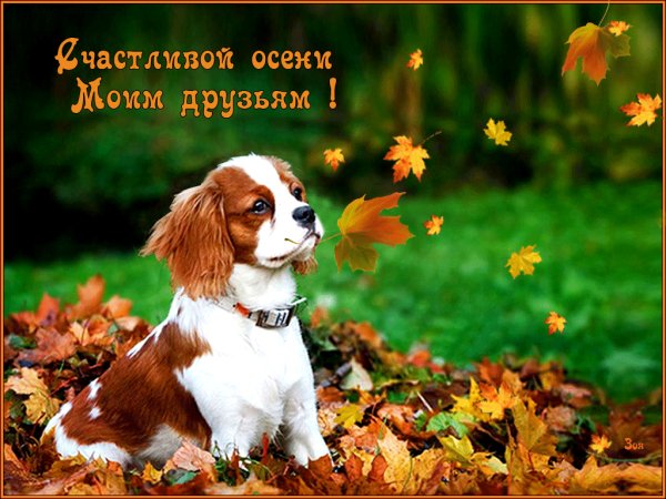 Счастливой осени моим друзьям!