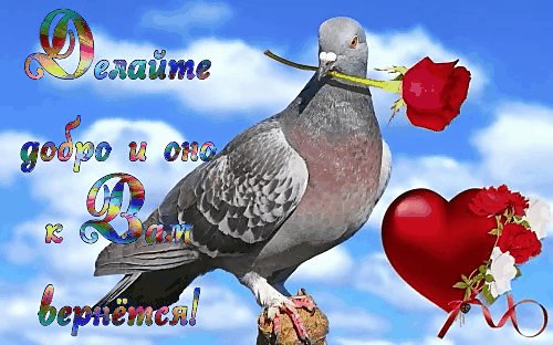 Делайте добро...
