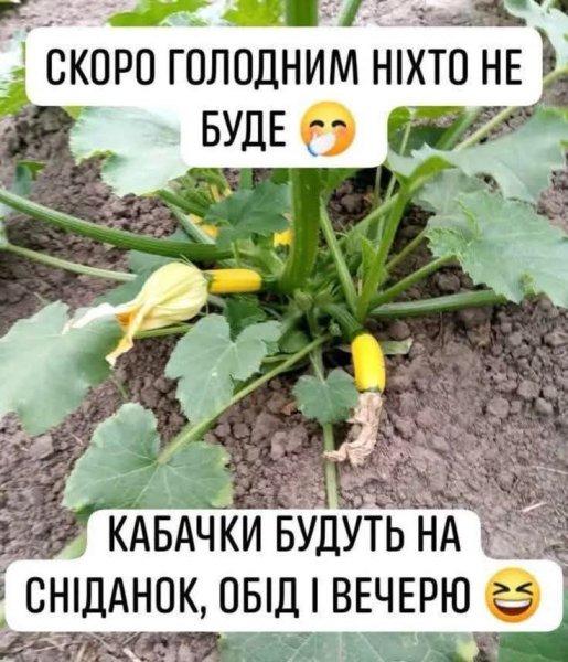 FB IMG 1779123747390