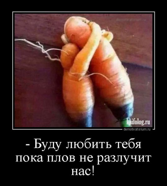file_64864801