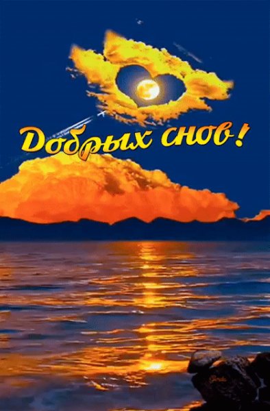 IMG 20240913 232503