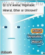 20Q Mind Reader