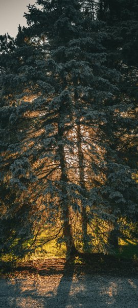 file_101835812